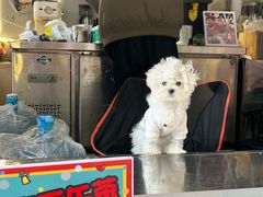 -佛山京华广场MALL