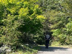 -大连天门山国家森林公园