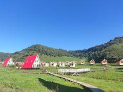 -关山草原