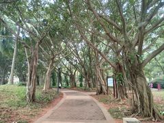 -白沙门生态公园