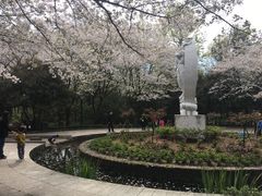 -杭州少年儿童公园