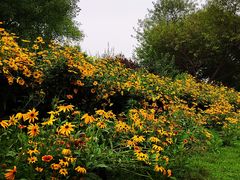 -永定河休闲森林公园