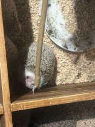 -酷嗒动物文化乐园(cutezoo西溪乐天城店)