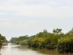 -大湾区中央湿地公园