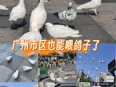 -江燕路万科里