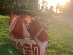 -大芊金重庆串串火锅(南京路店)