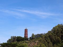 -南沙蒲洲花园