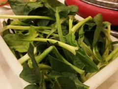 -湘肠香火锅店(团结湖店)