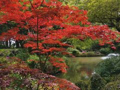 -上海醉白池公园