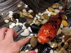 -天沐温泉(抚顺店)