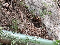 -北京上方山国家森林公园