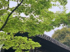 -何园