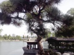 -晋祠公园