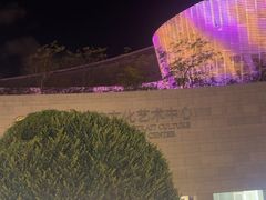 -福州海峡文化艺术中心