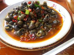 -全乐鱼馆·淳牌有机鱼直营店