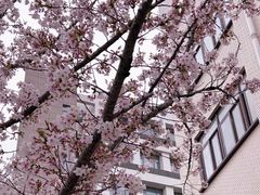 -复旦大学光华楼