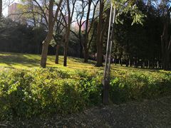 -元大都城垣遗址公园