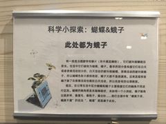 -深圳龙华星河COCO City(民治店)