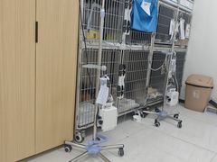 -美联众合动物医院·24h京西诊疗中心