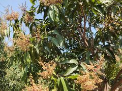 -中国移动南方基地