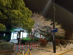 -杨高南路(地铁站)