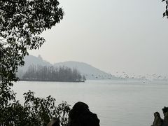 -东湖落雁景区