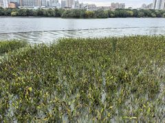 -南宁南湖公园