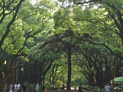 -共青国家森林公园-售票处