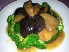 冬菇豆根兰花-伍月花酒楼