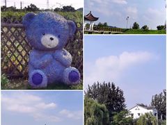 -大塘金香草谷