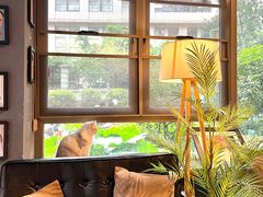 -咖法森林·咖啡  酒吧(天河店)