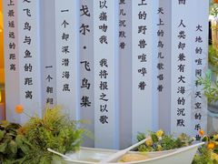 -天虹购物中心(石路店)