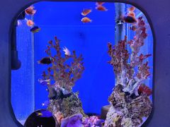 -海合安武汉极地海洋公园