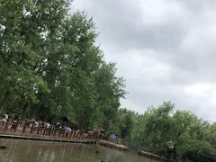 -溱湖国家湿地公园