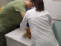 -达爱动物医院·犬猫分区·CT·复杂眼科(远洋山水分院)