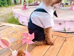 -可可露咖啡店(大东店)