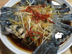 -煲来饱去冷水鱼