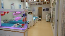 -痘庄科学祛痘国际连锁机构