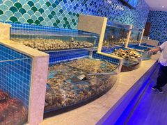 -乔哥铭洋海鲜自助(皇城恒隆广场店)