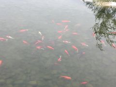 -西安曲江寒窑遗址公园