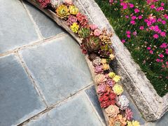 -苍山感通索道