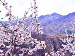 -龙泉峪长城