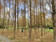 -福州大学(旗山校区)