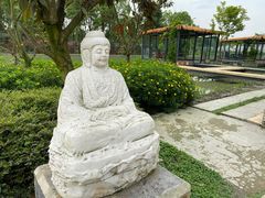 -洪湖家庭农场·团建·露营·会议