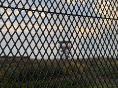 -福田红树林生态公园