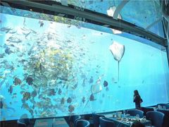-瑞德姆美人鱼海底演艺主题餐厅(亚龙湾店)
