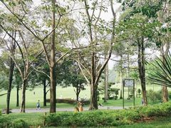-荔香公园