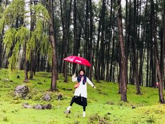 -硗碛藏寨·神木垒景区