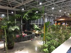 -盛彼得温泉度假酒店