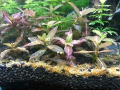 -三旗百汇商品城